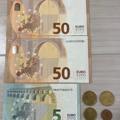 外国通貨(105ユーロと51セント)