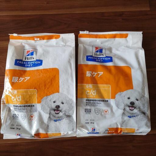 犬　ごはん