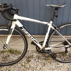 ジャイアント　CONTEND2　ホワイト