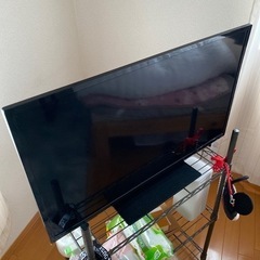 テレビ