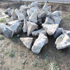 庭石(御影石？) 11枚