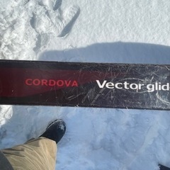 ベクターグライド　vectorglide CORDOVA 180