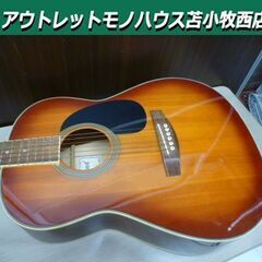 Legend アコースティックギター FG-25 BS レジェン...