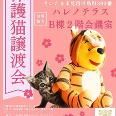 【さいたま市】3/17（日）ハレノテラス保護猫譲渡会