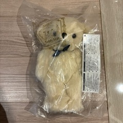 テディベア　シュガー　20cm