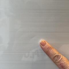 配送無料 2019年アイリスオーヤマ製冷蔵庫🐧