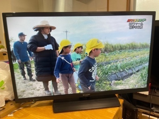 家電 テレビ 液晶テレビ 2015年