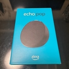 echo  pop  声だけで照明やテレビなどの操作可能！