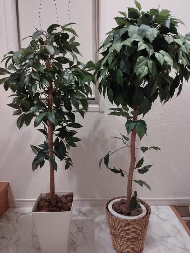 【日本製】光触媒フェイクグリーン　2本セット　観葉樹