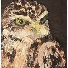 【一点限り】🎨油彩画🦉アナホリフクロウ