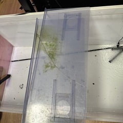 120cm アクリル水槽 早期引取りでヒーターと蓋をお得な値段にします！