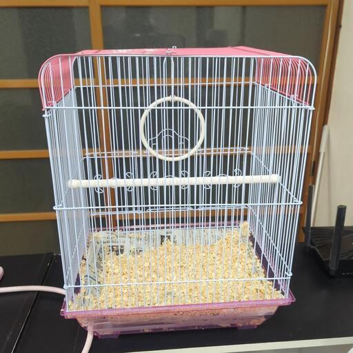 鳥かごセット