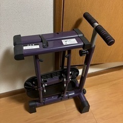 スポーツ フィットネス、トレーニング