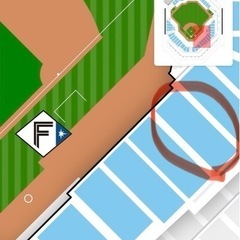 日本ハムファイターズ　オープン戦vs広島カープ　バラ売り可