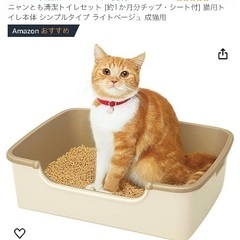 猫用システムトイレ3つセット(使用済)