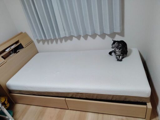 ニトリのベッド