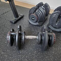 ダンベル＆トレーニングベンチ