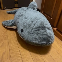 サメ