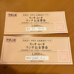 ランチ券2枚　淀屋橋　黒毛和牛専門店「天の幸山の幸」　チケット
