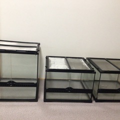 グラステラリウム 4530 2点 4545 1点