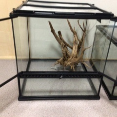 グラステラリウム4530 本体のみ グラステラリウム4530 PT2603 | ジェックス株式会社