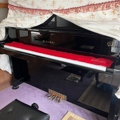 ピアノ弾けます とか