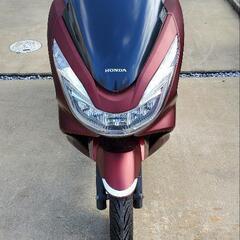 【ネット決済・配送可】PCX(jf56) 125CC ワインレッ...