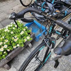 ロードバイク　７００ｘ２８ｃ　2x７変速　黒　サイズ　S 配達可能