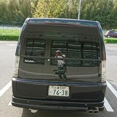 リブテック スケートバナナ 初期の方?-ホンダ ステップワゴンRF1.2 エアロ 