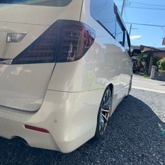 DazzFellows 20アルヴェルテール