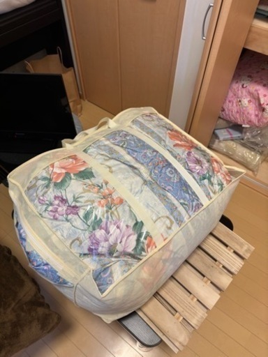 東洋羽毛掛け布団W