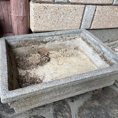コンクリート製の鉢
