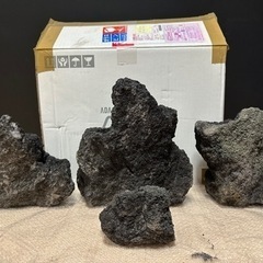 ADA 雲山石 アクアデザインアマノ