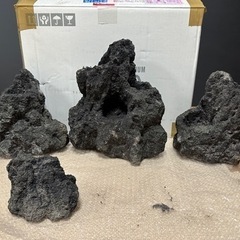 ADA 雲山石 アクアデザインアマノ