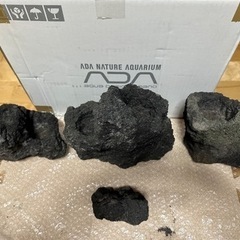 ADA 雲山石 アクアデザインアマノ