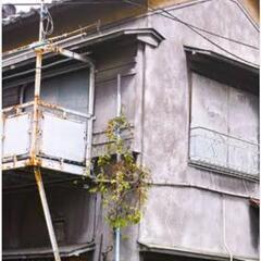 【ネット決済】札幌の空室　築古物件