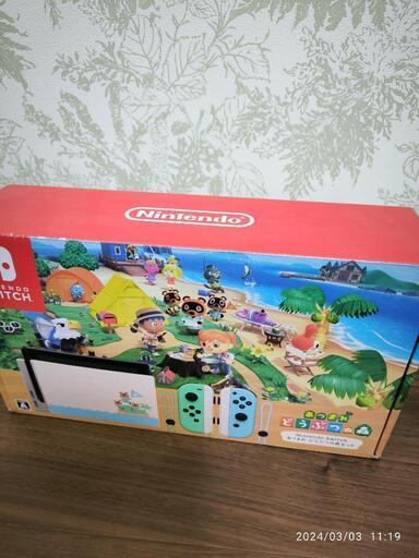 Nintendo Switch あつまれどうぶつの森セット　美品