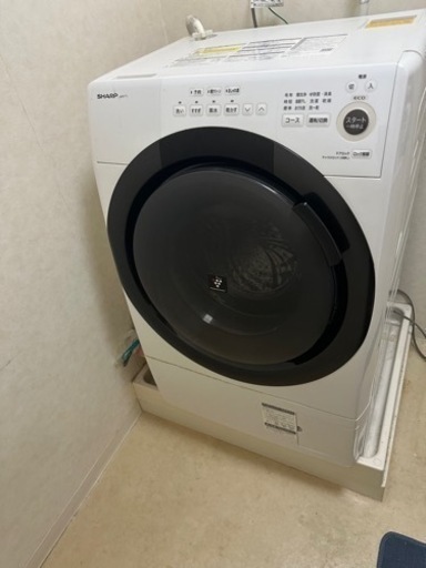 家電 生活家電 洗濯機