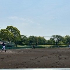 水曜草野球チーム募集