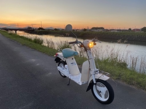 パッソル　限定車