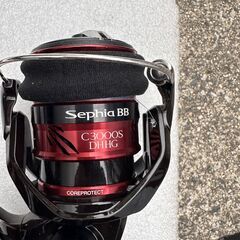 ティップエギングセット　セフィアBB S66M-S　セフィアBB C3000S DHHG