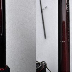 ティップエギングセット　セフィアBB S66M-S　セフィアBB C3000S DHHG