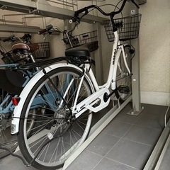 ホワイト　自転車 (予約)