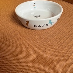 猫エサ茶碗