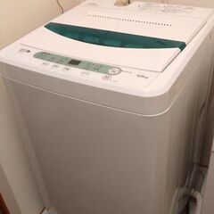 洗濯機4.5kg【HERB Relax YWM-T45A1】
