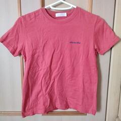 ○オリーブデオリーブ　Tシャツ