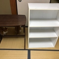 家具 収納家具 カラーボックス