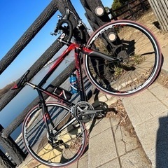 譲渡証明書有　PINARELLO ピナレロ FP1 2010 Campagnolo　CENTAUR　11s　完成車