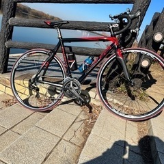 譲渡証明書有　PINARELLO ピナレロ FP1 2010 Campagnolo　CENTAUR　11s　完成車