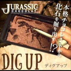 恐竜化石発掘チョコレート✨製造日本、ベルギー